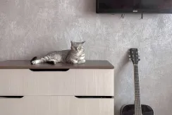 Mačka leži na ormariću u Pet friendly apartmanu