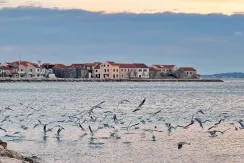 Бибинье апартаменты у моря