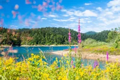 Dovolenkové domy Gorski kotar